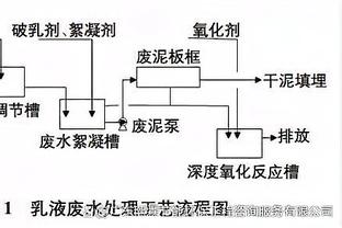 维尼修斯晒照庆祝逆转，贝林厄姆评论：勒布朗？